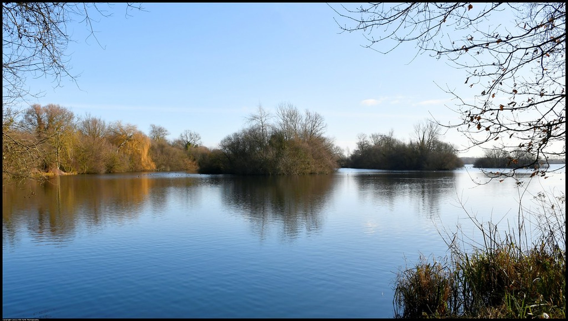 Burghfield — famous UK big carp water, calm lake with wooded islands
